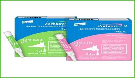 buprenorphine for cats