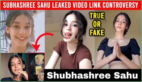 Subhashree MMS Video: The Truth Behind The Controversy