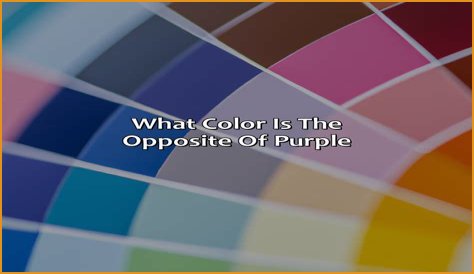 What is the opposite of internecine?